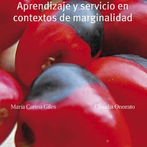 PROYECTO WAYRURU: Aprendizaje y servicio  en contextos de marginalidad