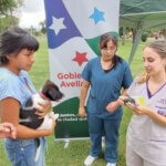 dia-del-animal-2