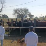 experiencia con EFA en Las Gamas (5)