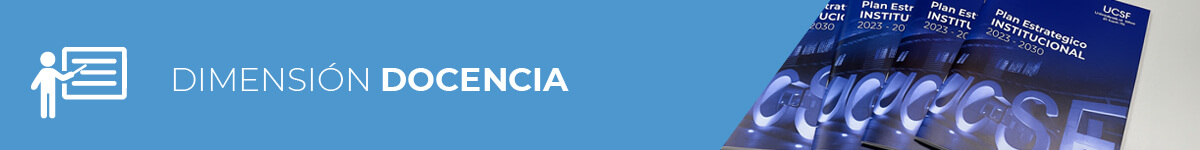 PEI_DOCENCIA