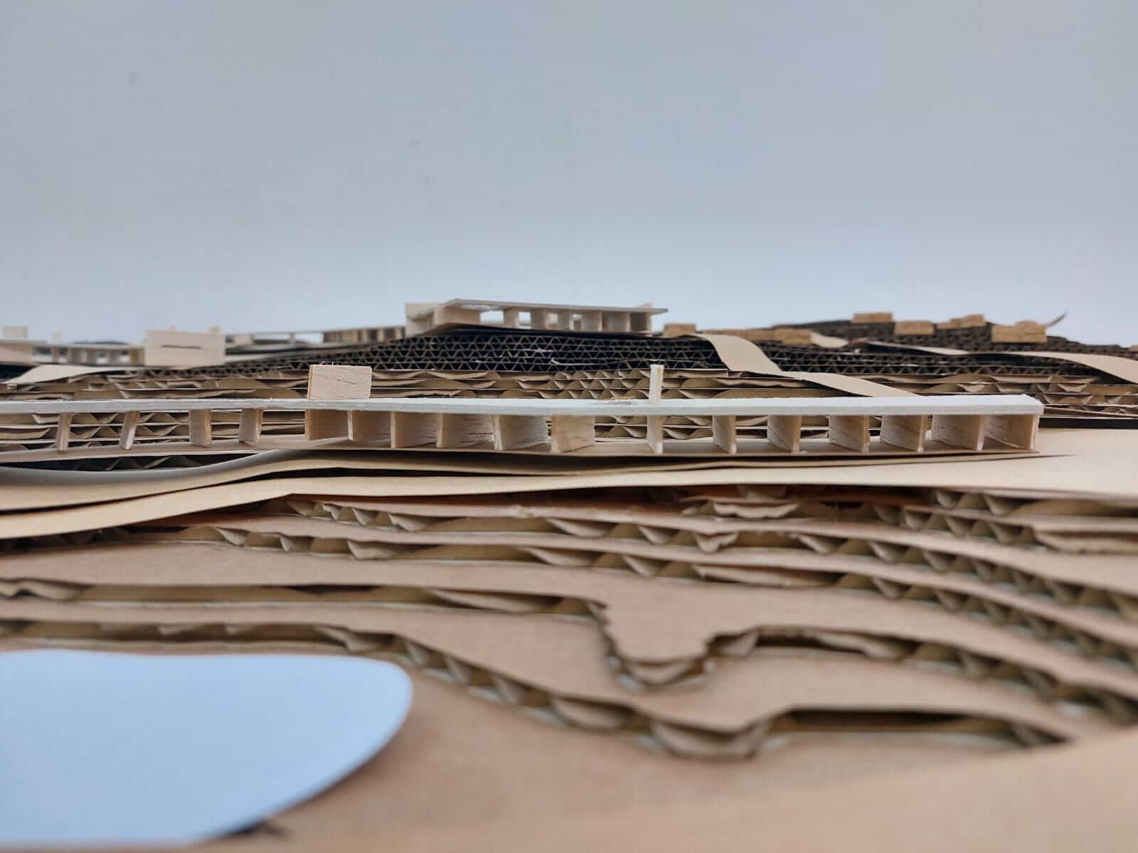 WhatsApp Image 2025-09-24 at 15.58.37