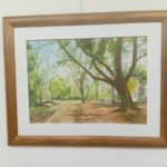 WhatsApp Image 2025-11-19 at 16.47.24